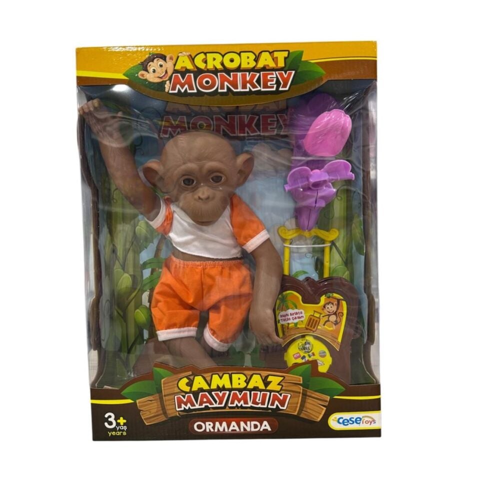 KUTUDA CAMBAZ MAYMUN ORMANDA KL.12