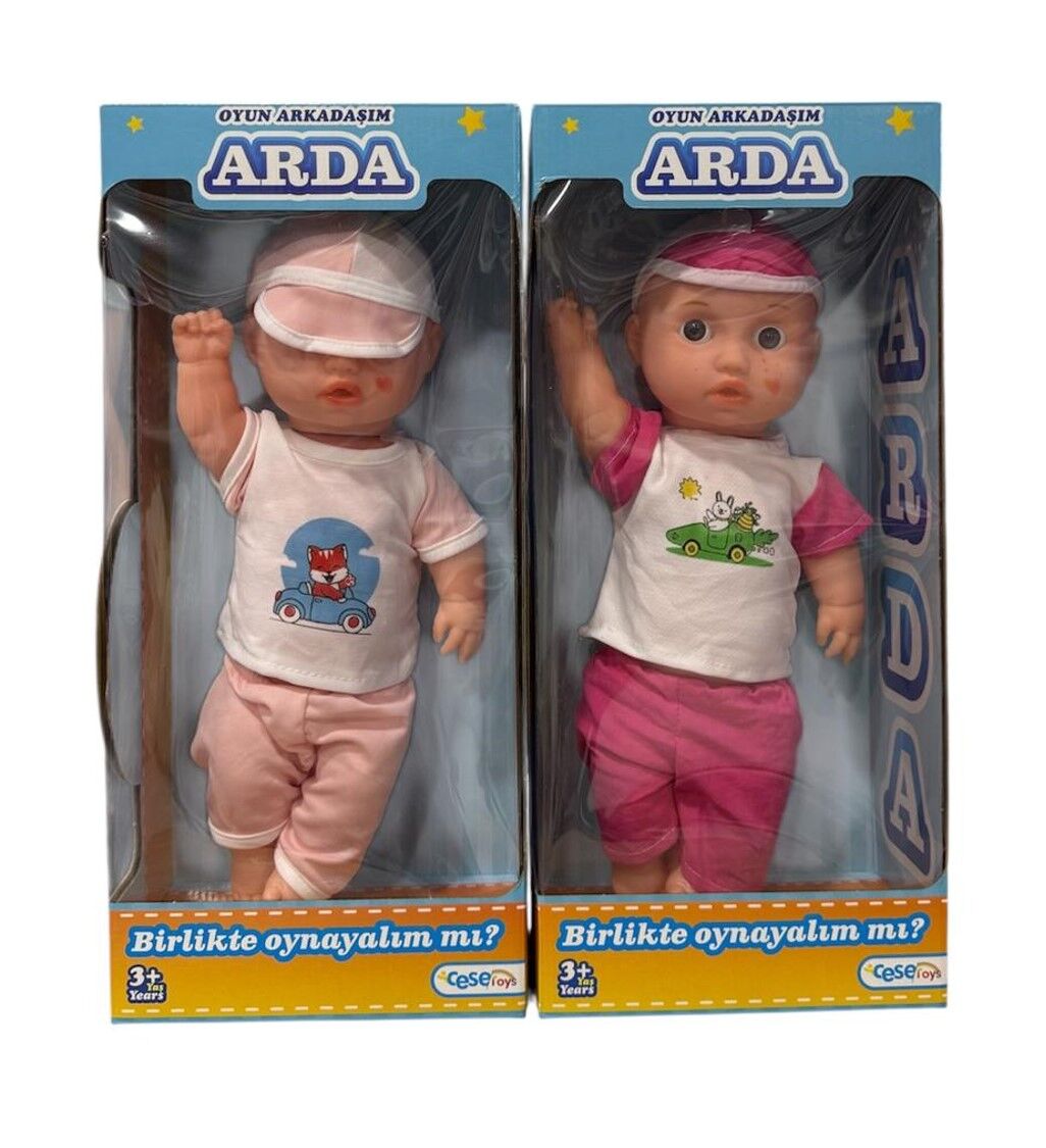 KUTUDA ARDA BEBEK KL.12