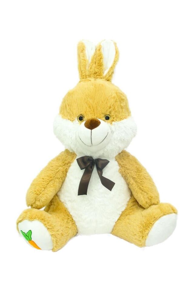 60 CM RENKLİ TAVŞAN PELUŞ KL.10