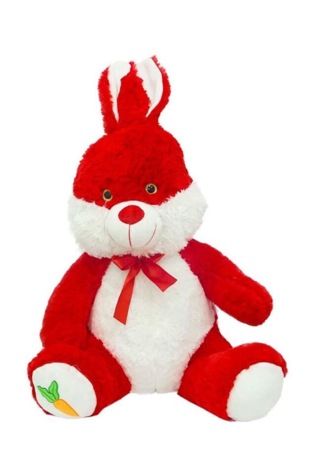 60 CM RENKLİ TAVŞAN PELUŞ KL.10