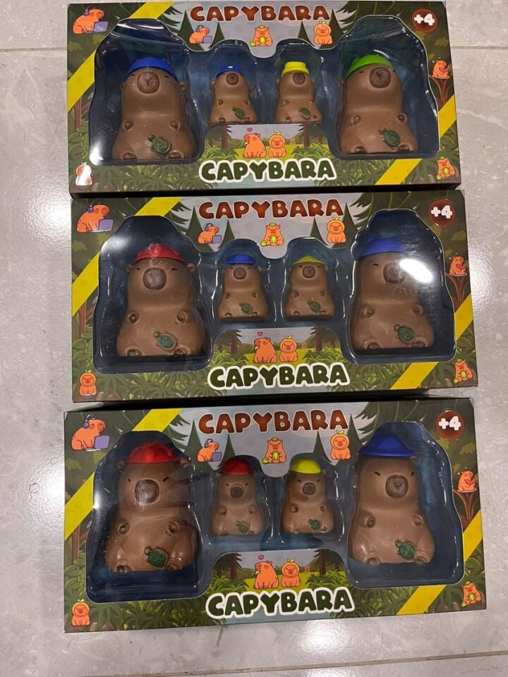 KUTUDA 4 LÜ CAPYBARA 2 BÜYÜK 2 KÜÇÜK KL.60