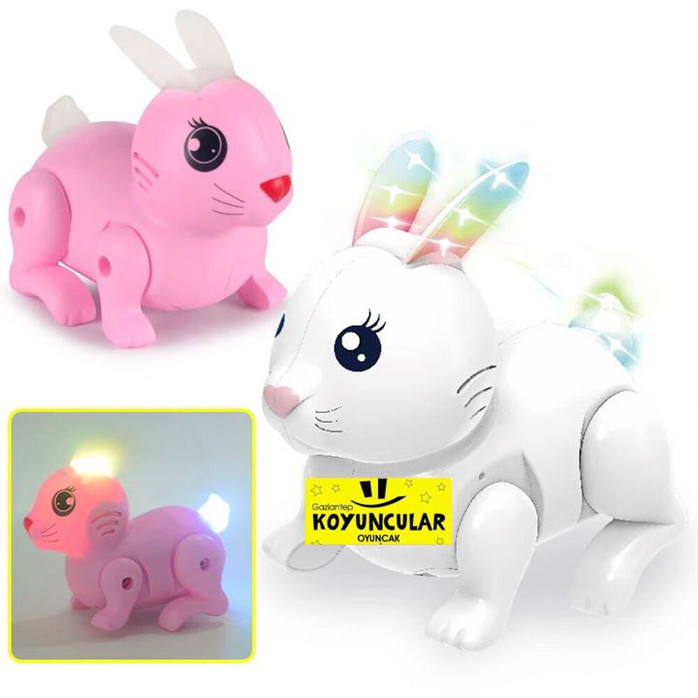 KUTULU PİLLİ IŞIKLI TAVŞAN KL.48