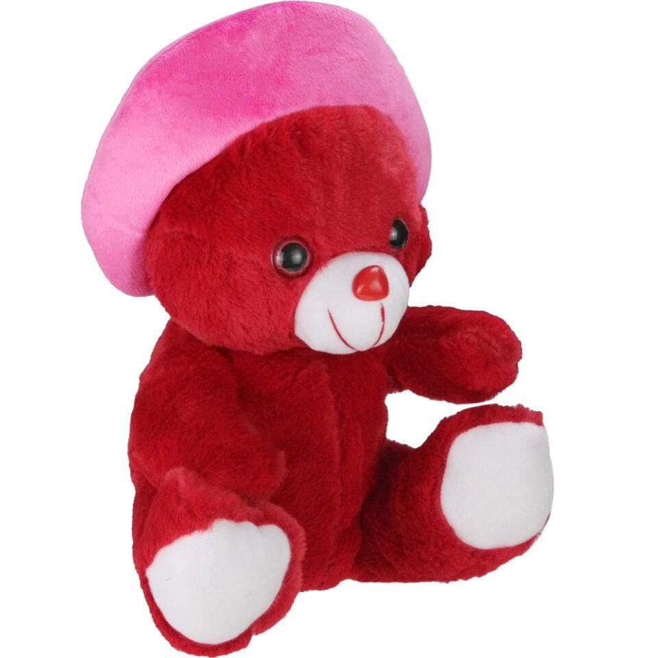 45 CM ŞAPKALI AYI (DMR TOYS)
