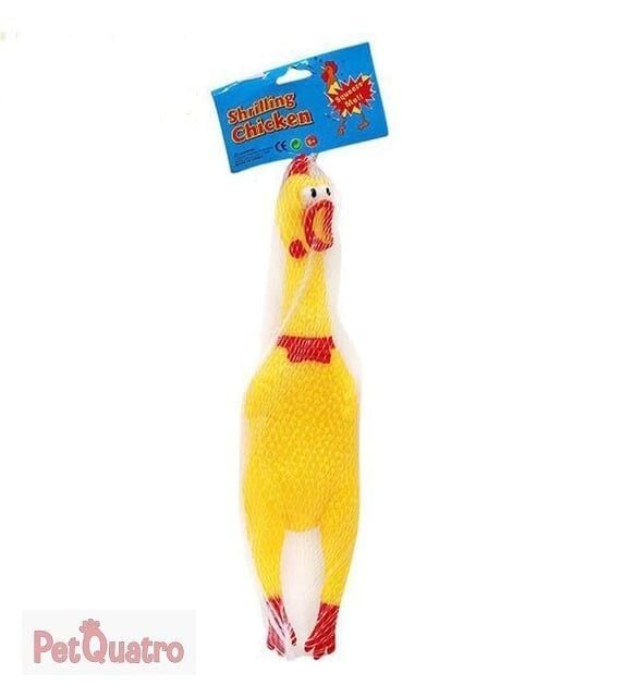 FİLEDE MİNİ ÖTEN TAVUK KL.600