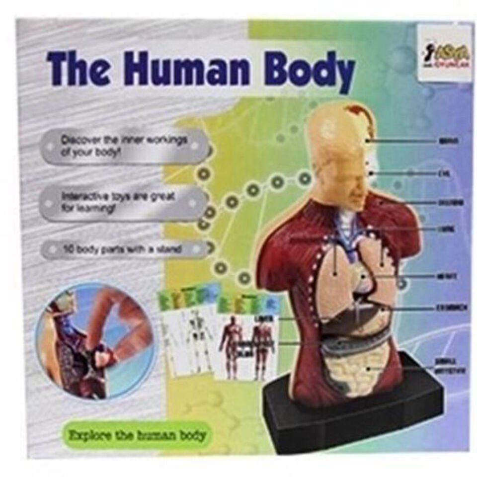 KUTUDA HUMAN BODY DOKTOR SETİ KL.24