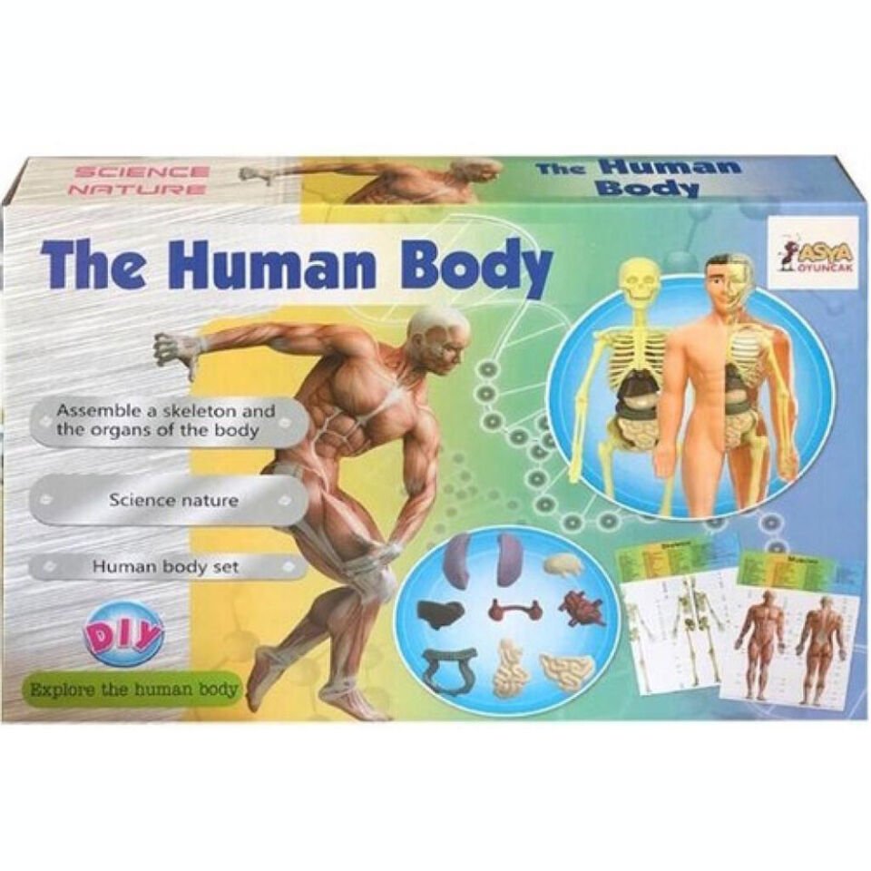 HUMAN BODY DOKTOR SETİ KUTUDA KL.24