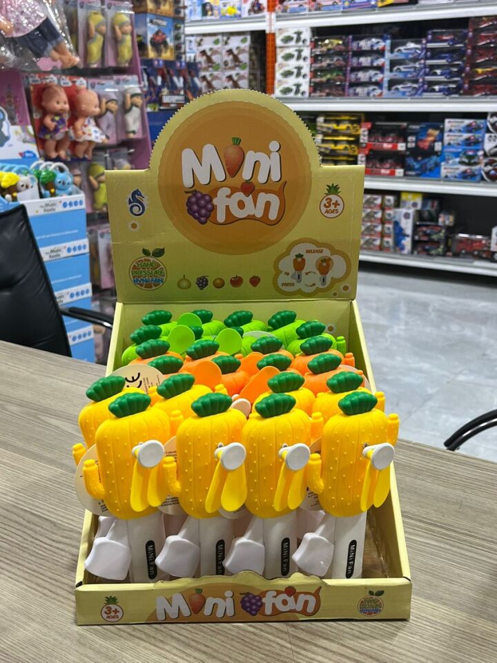 KUTUDA KAKTÜS DESENLİ FAN 24 LÜ KL.216